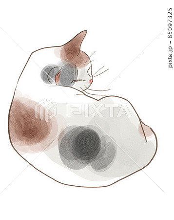 休んでいる三毛猫のイラスト 85097325