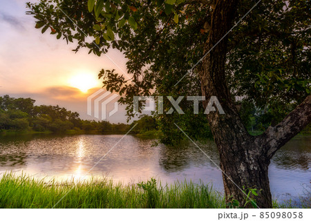 View of Colorful dramatic sky sunset or sunrise with clouds background 85098058