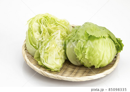 白バックの高原野菜レタス 白バックの高原野菜レタス 85098335