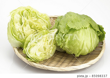 白バックの高原野菜レタス 85098337