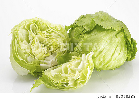 白バックの高原野菜レタス 白バックの高原野菜レタス 85098338