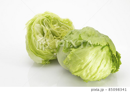 白バックの高原野菜レタス 白バックの高原野菜レタス 85098341