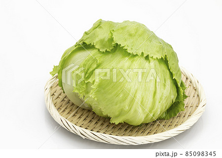 白バックの高原野菜レタス 白バックの高原野菜レタス 85098345
