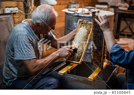 Beekeeper uncapping honey cells on the hive frames with a uncapping comb 85100845