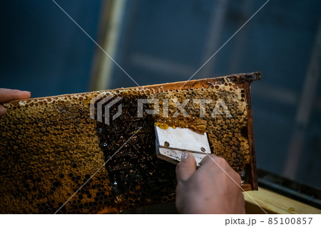 Uncovering the honeycombs with the scraper by hand, honey harvest. 85100857