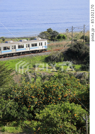 伊豆の海岸線を走る列車 伊豆の海岸線を走る列車 85102170