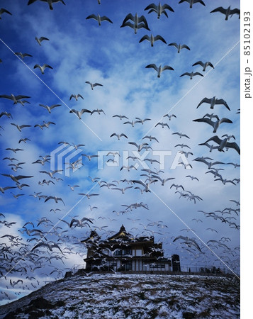 八戸市蕪嶋神社 85102193