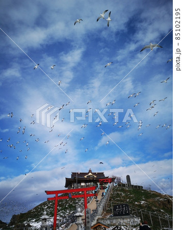 八戸市蕪嶋神社 八戸市蕪嶋神社 85102195