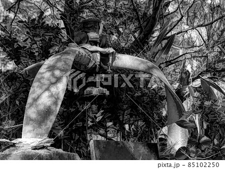 Bent propeller of a Zero plane that crashed into Kinko Bay, during WWII. 85102250