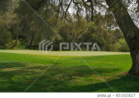 Scenic Grassy Golf Course Green and Flag. Scenic Grassy Golf Course Green and Flag. 85102827