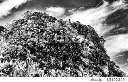 The side of a mountain range near Ibusuki city, partially covered in trees. 85102896