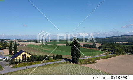 北海道美瑛町のケンとメリーの木 85102909