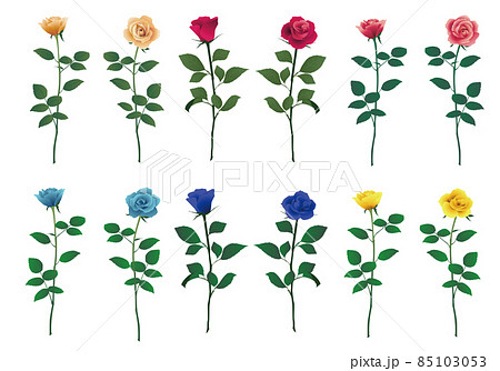 一輪のバラの花セット 85103053