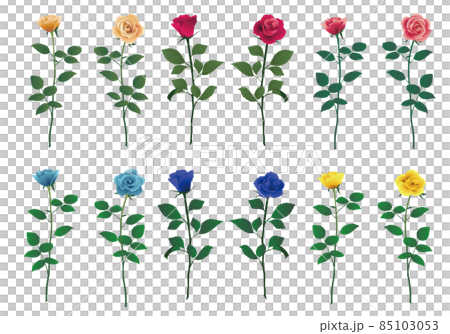 一輪のバラの花セット 85103053