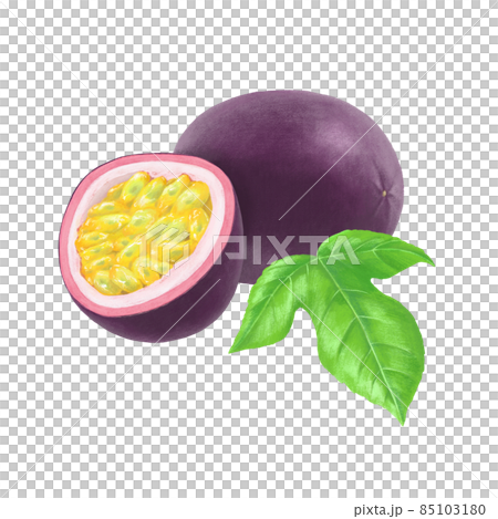 手繪百香果圖 85103180