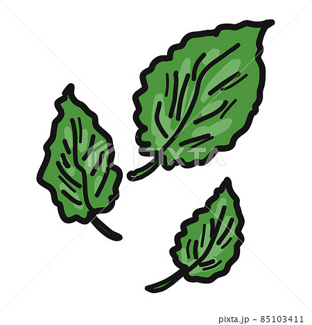 新緑の季節の木の葉のイラストのイラスト素材 新緑の季節の木の葉のイラストのイラスト素材