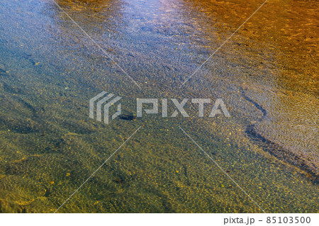 Crystal clear water flows through a shallow river. 85103500