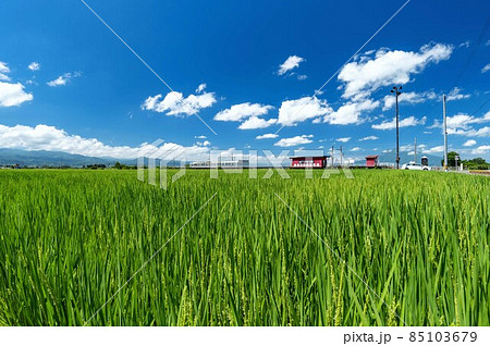 【青森県津軽平野】津軽富士岩木山を眺めながら津軽平野の水田を走る田んぼ鉄道(弘南鉄道) 【青森県津軽平野】津軽富士岩木山を眺めながら津軽平野の水田を走る田んぼ鉄道(弘南鉄道) 85103679