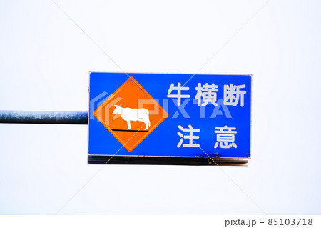牛横断注意 道路標識 牛横断注意 道路標識 85103718