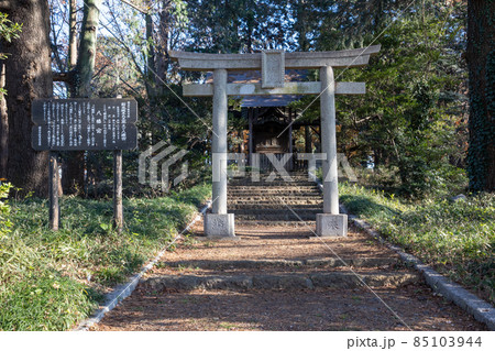 館林城本丸の八幡宮　群馬県館林市 85103944