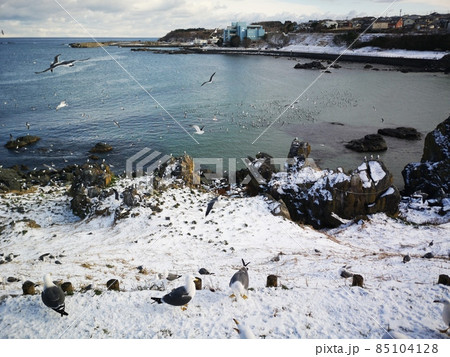 蕪嶋の七福の岩 85104128