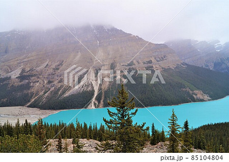 カナダ バンフ国立公園のペイトー湖 85104804