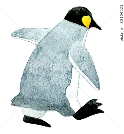 歩くキングペンギンの後ろ姿のイラスト かわいい手描き水彩イラスト素材のイラスト素材