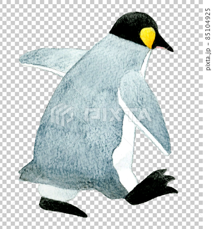 歩くキングペンギンの後ろ姿のイラスト かわいい手描き水彩イラスト素材のイラスト素材