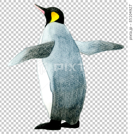 Illustration of the back of a king penguin flapping its wings Cute hand-painted watercolor illustration material 85104927