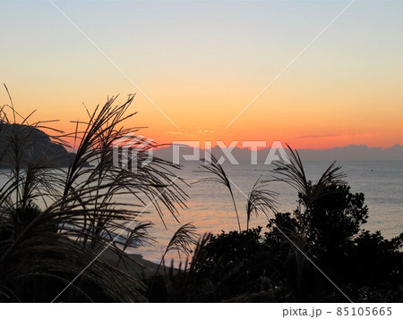 グラデーションの空とススキのシルエット グラデーションの空とススキのシルエット 85105665