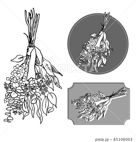 お洒落なドライフラワーのアイコンイラストのイラスト素材