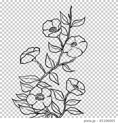手描き線画の椿のイラスト 85106005