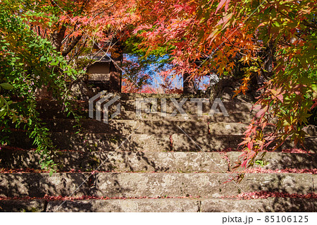 石段の紅葉 85106125