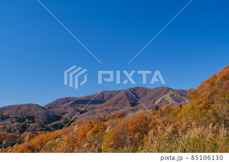 斑尾スキー場の紅葉 85106130