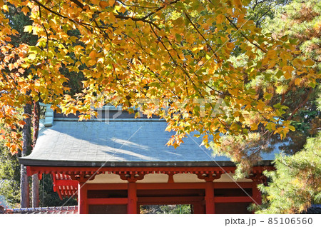 川越散歩：仙波東照宮　日本三大東照宮　随身門　 85106560