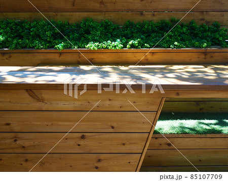 A seating area of wooden stepped seats with decorative plants in between located in the shade in the park 85107709