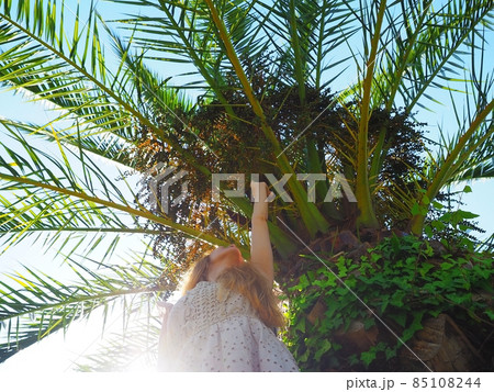 The girl stands under a sprawling palm tree in the sun and stretches her hand up. Photo from the bottom up 85108244