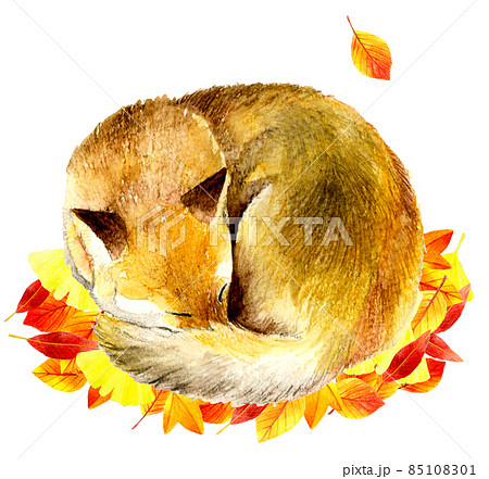 落ち葉の上で寝るキツネのイラスト かわいい手描き水彩イラスト素材のイラスト素材