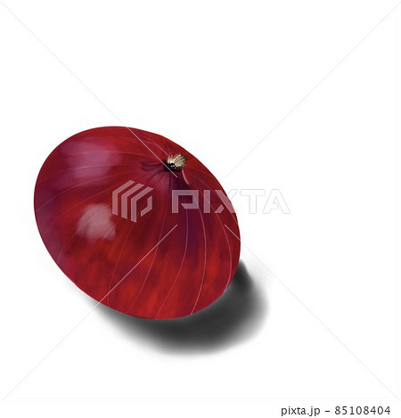 赤玉ねぎ 85108404