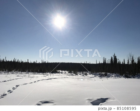 アラスカの空で輝く太陽 85108595