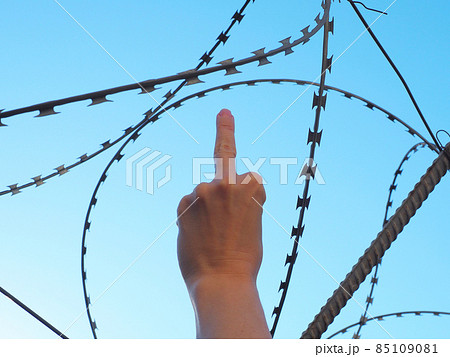 Hand showing middle finger on background of barbed wire and blue sky Hand showing middle finger on background of barbed wire and blue sky 85109081