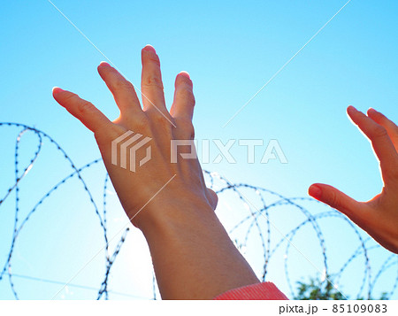 Hands reach up to the barbed wire against the blue sky 85109083