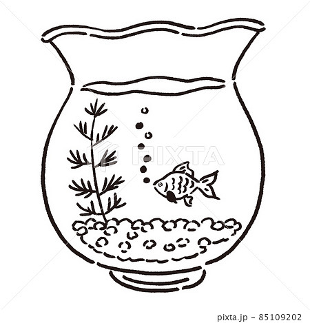 金魚鉢で泳いでいる金魚のイラストのイラスト素材