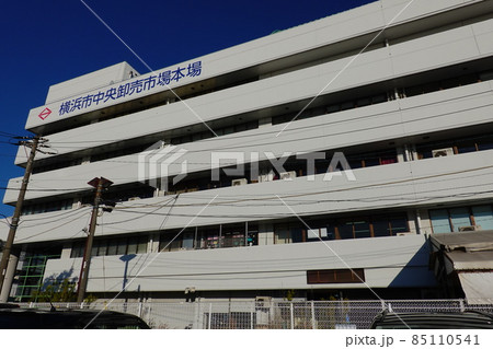 横浜市中央卸売市場 本場  85110541
