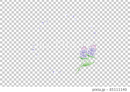 ウツボグサ 85111140