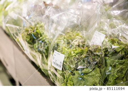 スーパーに並んだサニーレタス 野菜売り場イメージ スーパーに並んだサニーレタス 野菜売り場イメージ 85111694
