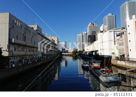 横浜市中央卸売市場 85112331