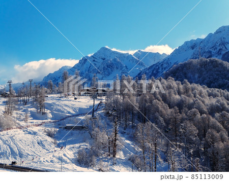 View of a ski resort with snow-capped mountain peaks, forest and slopes 85113009