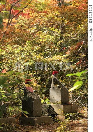 高尾山薬王院仏舎利塔の紅葉と子育て地蔵 85113111