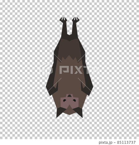 モリアブラコウモリのイラスト モリアブラコウモリのイラスト 85113737
